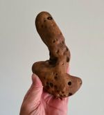 Amazing Theropod Dinosaur Foot Cast - 1 ONLY Like This