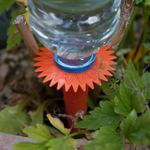 Neat Ideas Water Spikes 6 pack - waters & feeds your plants whilst your out