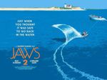 JAWS 2 1978  quad poster print 30x40" Roy Scheider Lorraine Gary FREE P&P