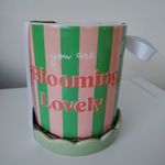 Green and Pink Striped You Are Blooming Lovely Gift Plant Pot with Saucer New