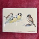 Vintage Villeroy & Boch VilboCard Edith Holden December Birds Plaque W Germany