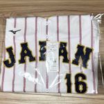 Shohei Ohtani 2026 WBC Samurai Japan Home Replica Jersey Mizuno Size L F/S