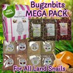 Bugznbits Organic Snail Food | 11 Item MEGA PACK with Herbal Foods, Seed & Grain