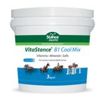VitaStance B1 Cool Mix - vitamin and mineral supplement for horse and pony