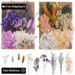 QINREN 2 Packs Real Natural Dried Flowers, Mixed Dried Pressed Flowers and Leave