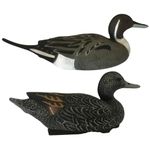 Duck Decoys Pintail Realistic Floating  HIGH DEFINITION HD Full Body HIGH QUALIY