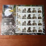 US 2026 SC#6082a-86a 4ever Bald Eagles Imperf/NDC full pane of 20 VF MNH