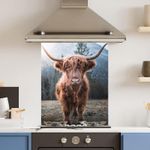 Premium Various Sizes Highland Cow 6mm Glass Toughened Kitchen Splashback