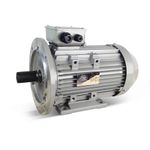 3F3A-100LA-4B35 Felstrom  1,9 kW     100-4P 2,2kW 230/400V B35 AL