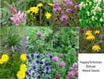 Deluxe Tortoise Weed Seeds |  11 species | FREE DELIVERY