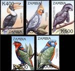 ZAMBIA 2000 tropical BIRDS SC#881-85 **postfrisch PARROTS 💲FREE SHIPPING💲