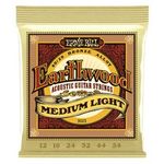 Earthwood 80/20 BRONZE ALLOY Acoustic Guitar Strings Ernie Ball 2003/2004/2006~