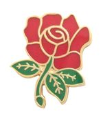 Labour Party Red Rose Pin Badge