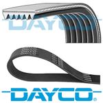 DAYCO V-RIBBED BELT 6 RIBS 1050MM AUXILIARY FAN DRIVE ALTERNATOR BELT 6PK1050
