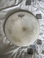Remo Ambassador Coated 13”