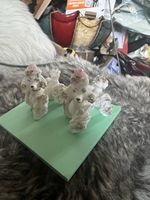 Vintage Ceramic Spaghetti Poodle Figurines