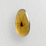 Mite in Burmese / Burmite amber fossil / 100% genuine amber 