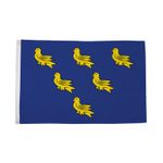 Flagtex Sussex Flag with Eyelets