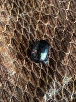 King Cobra pearl | Cobra Stone Nagamani | King Cobra Snake pearl | Nagamani Ston