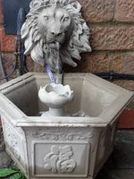 Lions Head Budding Flower 5watt Freestanding Wall Mount Fountain Design 5 Watt