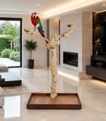 Large Java Wood Parrot Stand – Natural Tree Perch for Macaws, African Greys