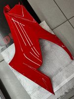 Ducati Panigale V2 Upper Left Fairing Panel OEM Used Genuine