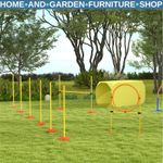 Pet Training Set 5-Piece Agility Equipment Portable w/ Adjustable Height Yellow
