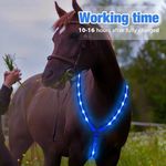 LED Flashing Rechargeable Breast Plate Red Only