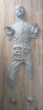 Han Solo In Carbonite