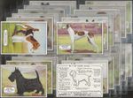 ARDATH-FULL SET- CHAMPION DOGS 1934 (X25 CARDS) EXCELLENT