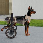 Large Dog Wheelchair, 2 Wheel Pet Walking Aid for Back Legs Rehabilitation XL UK