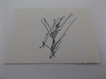 HAND SIGNED 6" x 4" AUTOGRAPH BOOK PAGE - HANZO NAKAJIMA - JAPAN WRESTLING