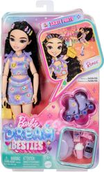 Barbie Dream Besties Doll and Accessories, Renee Posable Roller Skating Fashion