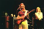 FRANK ZAPPA  in concert 1977-79 Edinburgh Knebworth Hammersmith 30 RARE PHOTOS! 