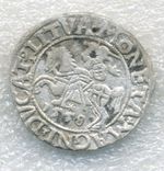 Poland Lithuania 1/2 grosz groschen 1558 Silver Sigismund II Augustus XF-