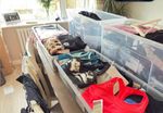 Gym, Sportswear, Activewear, Mystery Bundles, Ladies Bundle, Mixed Sizes