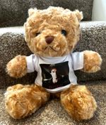 DAMON SALVATORE The Vampire Diaries TEDDY BEAR IAN SOMERHALDER