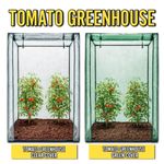 TOMATO GREENHOUSE GROW HOUSE OUTDOOR PLANT GROW GARDEN WITH PVC COVER 