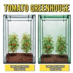 TOMATO GREENHOUSE GROW HOUSE OUTDOOR PLANT GROW GARDEN WITH PVC COVER 