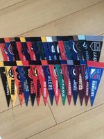 NHL Mini Pennant Flag Pennants Team Logo Ice Hockey Pennant Flags 9" x 4"
