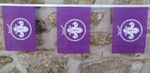 International Scouting Scout Movement Flag Polyester Bunting - Various Lengths