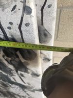 Decorative Wall Boards Material Timorous Beasties Design X 10