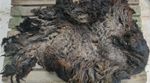 Sheep Fleece - Pure Hebridean Sheep - Spinning - Happy Sheep