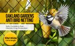 10m Garden Netting Heavy Duty 20mm Mesh Knotted Anit Bird Pond Fruit Cage Net