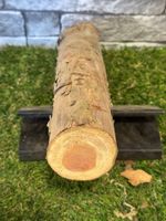 20 Year Air Dried Yew Wood Log - 133