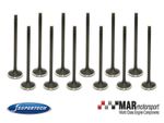 BMW S54B32 | M3 E46 | Z3 | Z4 | SUPERTECH 12x STD Nitrided Exhaust Valves