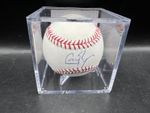 Greg Bird Signed Autograph Baseball PSA/DNA COA
