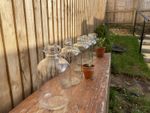 6 Lovely Mint Condition Demijohns