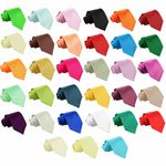 Boys Regular Tie Satin Plain Solid Formal Casual Wedding Kids Necktie by DQT