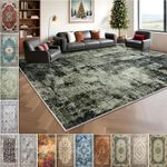 Area Rug for Living Room Non-Slip Washable Carpet Large Traditional Décor Rugs